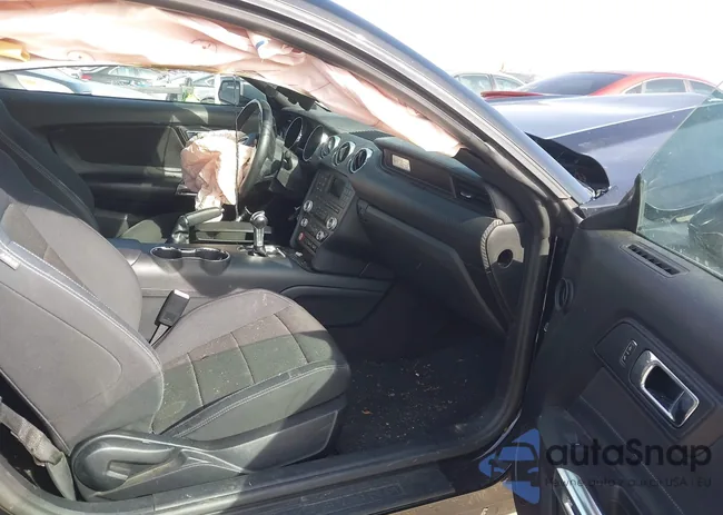 1FA6P8AM5H5272831: 44472810