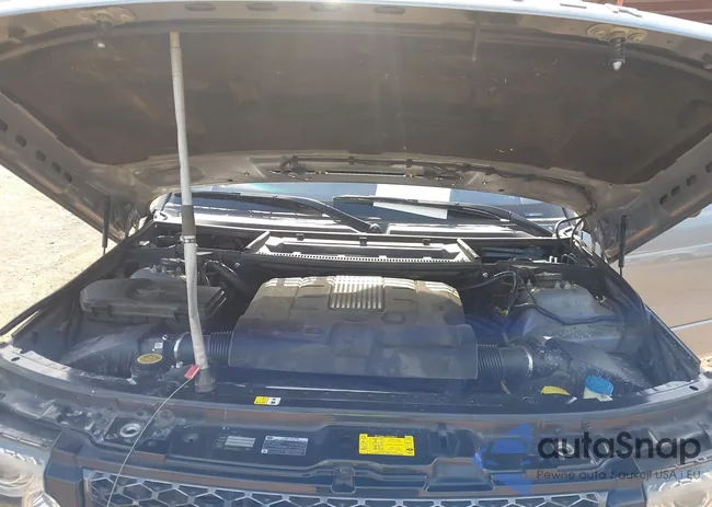 SALMF1D47CA382344: 44472994