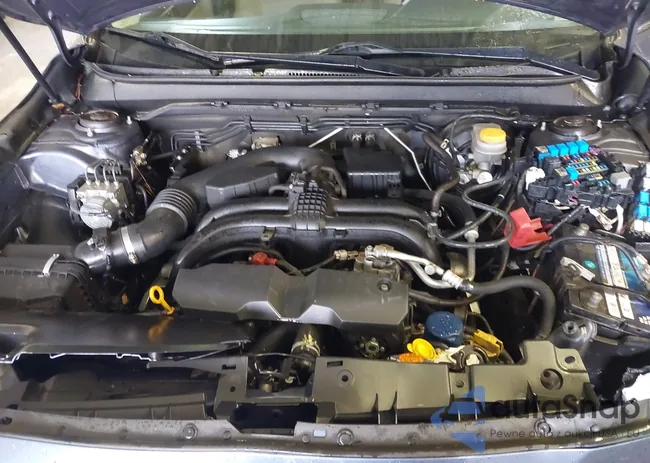 4S4BSBJC0F3238635: 44472569