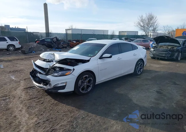 1G1ZD5ST2PF166181: 44475317