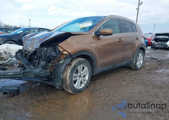 KNDPMCAC4J7446593: 44475973