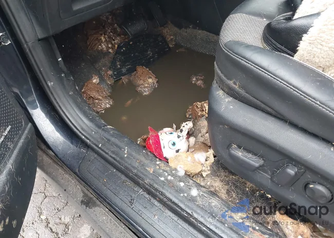 KNDCC3LG2N5149101: 44475612