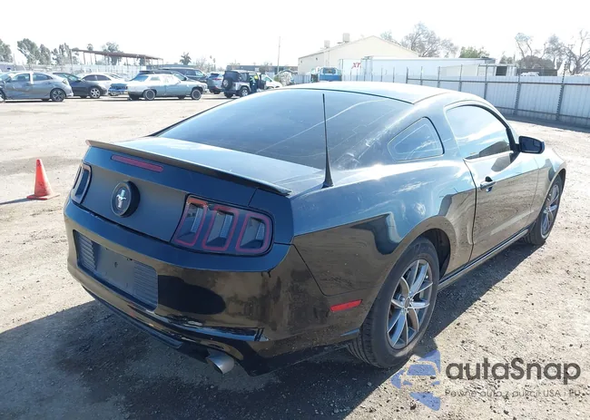 1ZVBP8AM4D5275607: 44476769