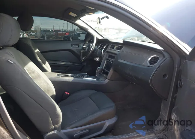 1ZVBP8AM4D5275607: 44476769