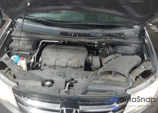 5FNRL5H69EB003900: 44476804