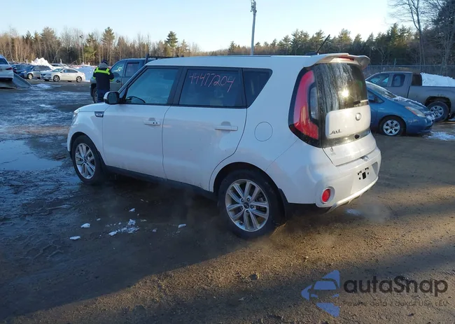 KNDJP3A50H7429783: 44477204