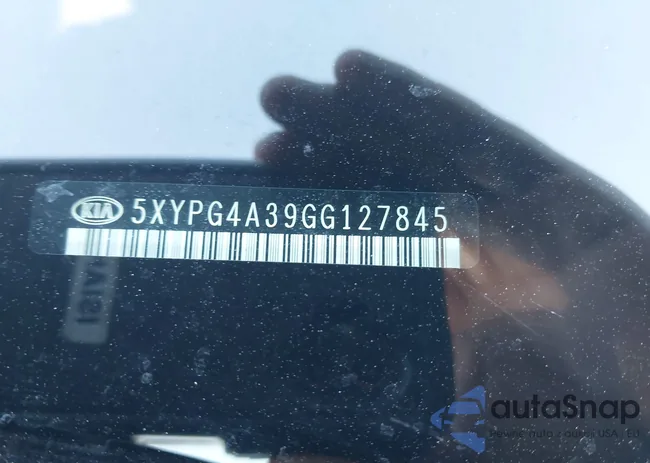 5XYPG4A39GG127845: 44478309