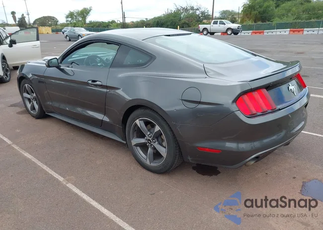 1FA6P8AM4F5319702: 44479264