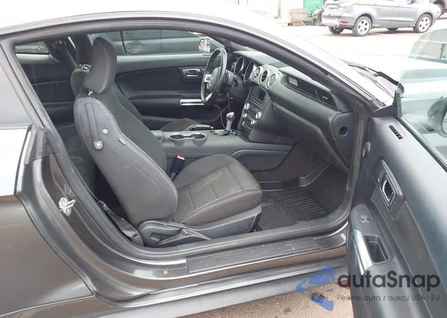 1FA6P8AM4F5319702: 44479264