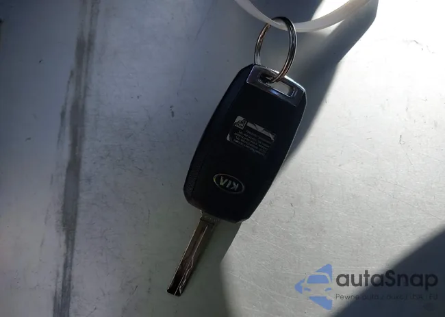 KNDPB3AC7E7601021: 44479852