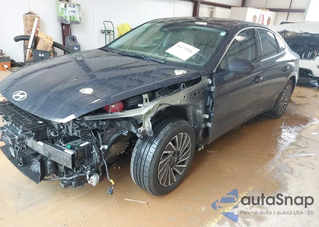 KMHL54JJ7RA087928: 44479546