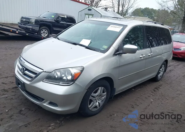 5FNRL38705B054828: 44480934