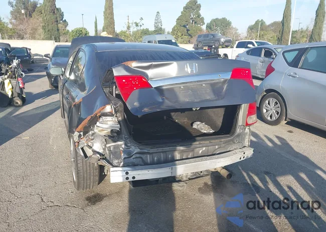 19XFA16599E051193: 44481072