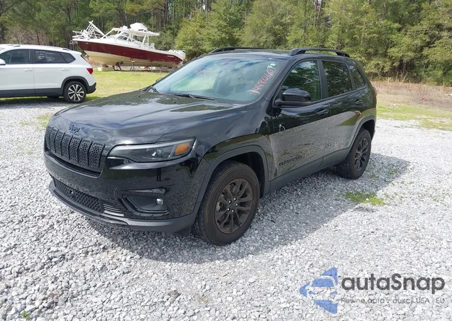 1C4PJMMB8PD110151: 44480609