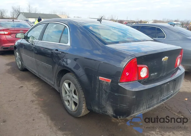 1G1ZB5E13BF261017: 44482829