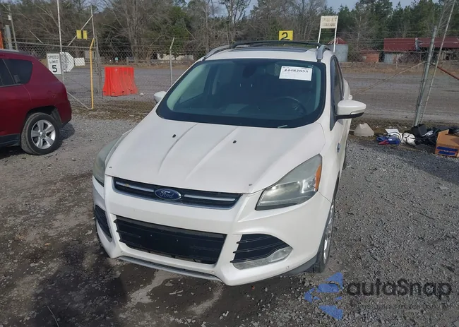 1FMCU9J97DUB42682: 44482855