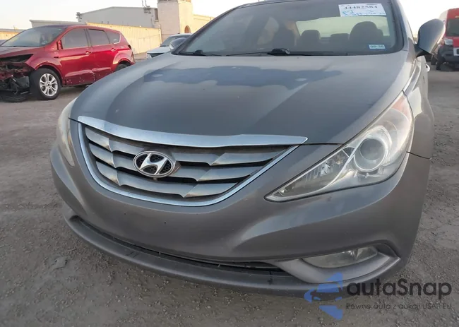 5NPEC4AC6DH651056: 44482584