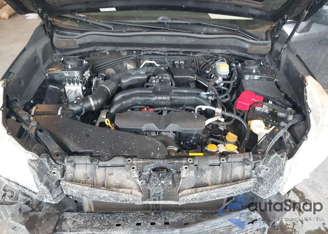 JF2SJAHC5EH502524: 44483399