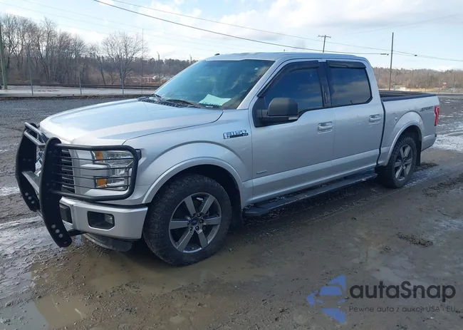 1FTEW1CG0FFB56953: 44484761