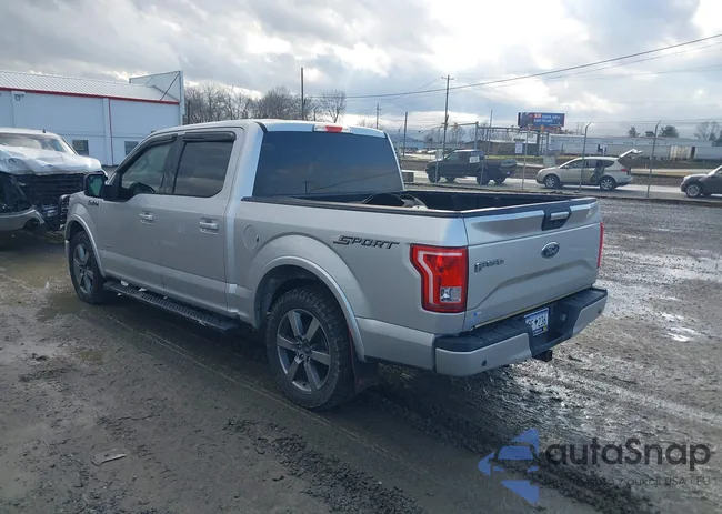 1FTEW1CG0FFB56953: 44484761