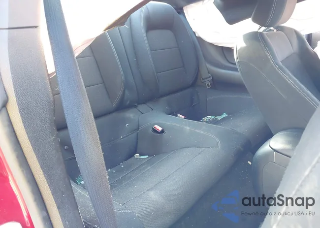 1FA6P8AM6H5237005: 44484875