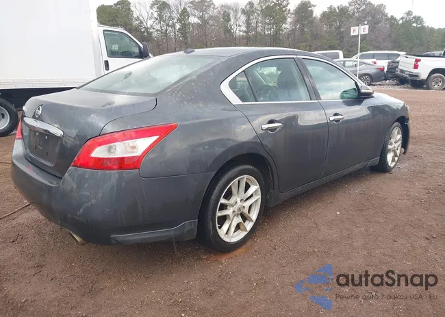 1N4AA5AP0AC828792: 44485043