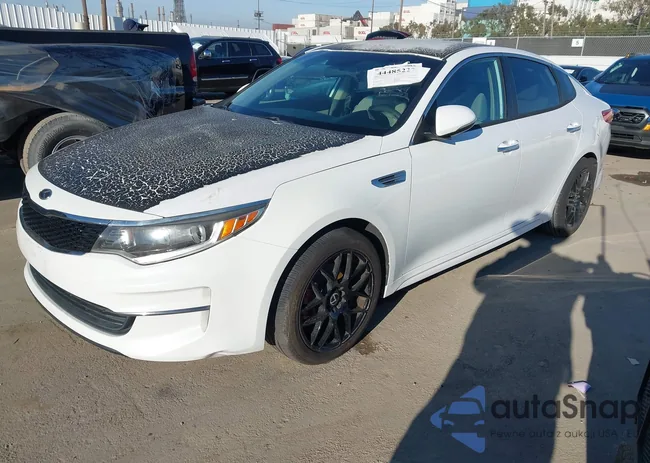 5XXGT4L31JG182309: 44485227