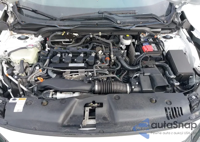 19XFC1F70LE205292: 44485275