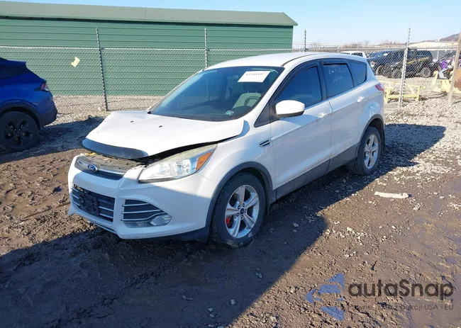 1FMCU9GX0FUA75836: 44488107