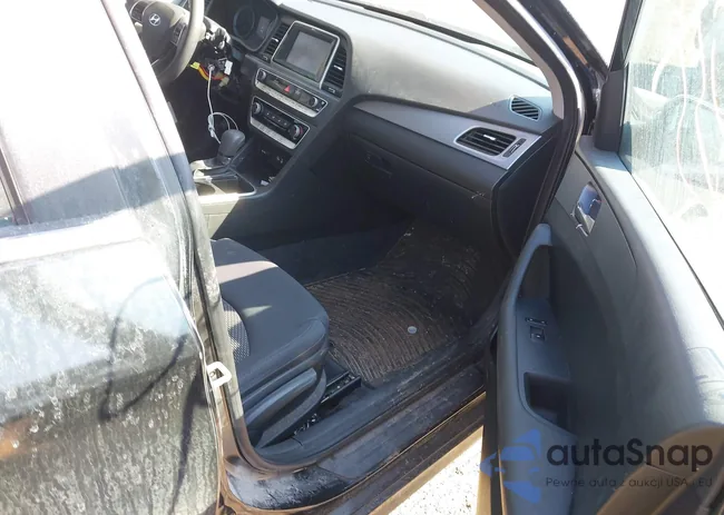 5NPE24AF4JH664395: 44489055