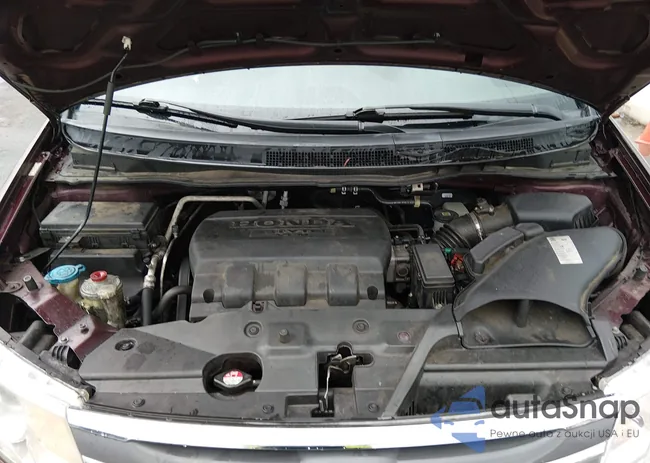 5FNRL5H60DB043118: 44490236