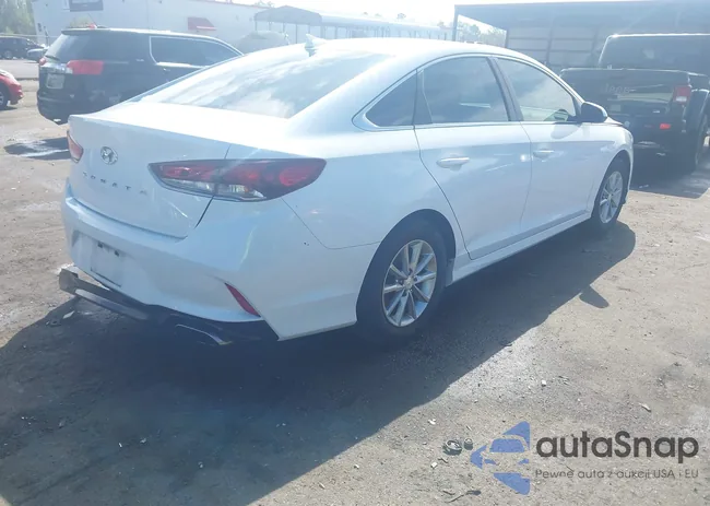 5NPE24AF8KH776067: 44490886