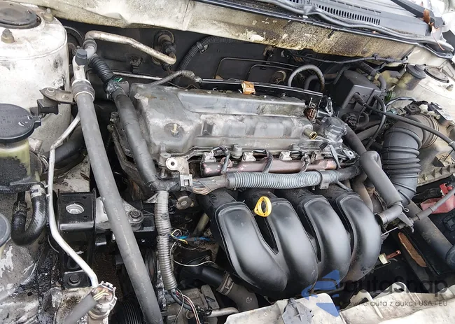 2T1BR32E74C270959: 44490322