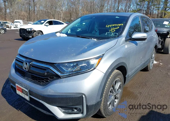 5J6RW2H59LL022402: 44491689