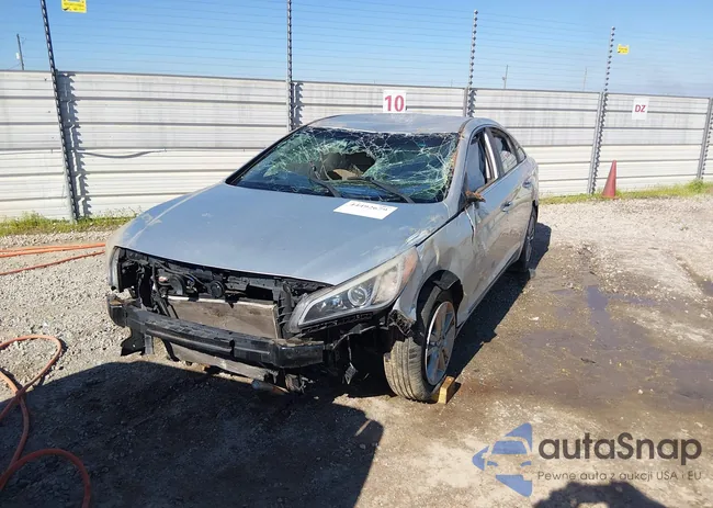 5NPE24AF8HH491930: 44492679