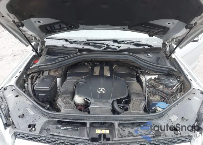 4JGDF6EE9FA538718: 44493260