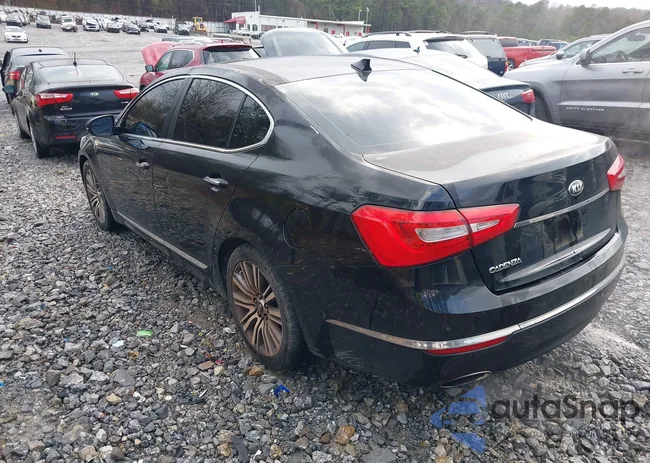 KNALN4D7XF5193666: 44493869