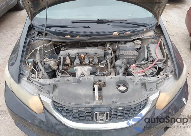 2HGFB2F53DH599093: 44494039