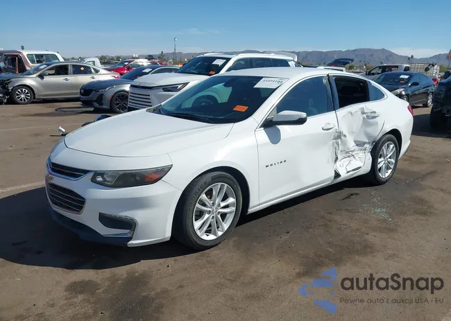 1G1ZD5ST6JF169768: 44494104