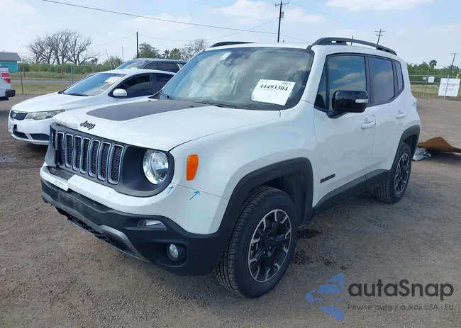 ZACNJDB13PPP68816: 44493304