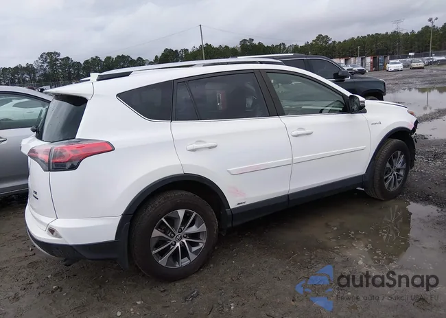 JTMRJREV1GD053984: 44494823