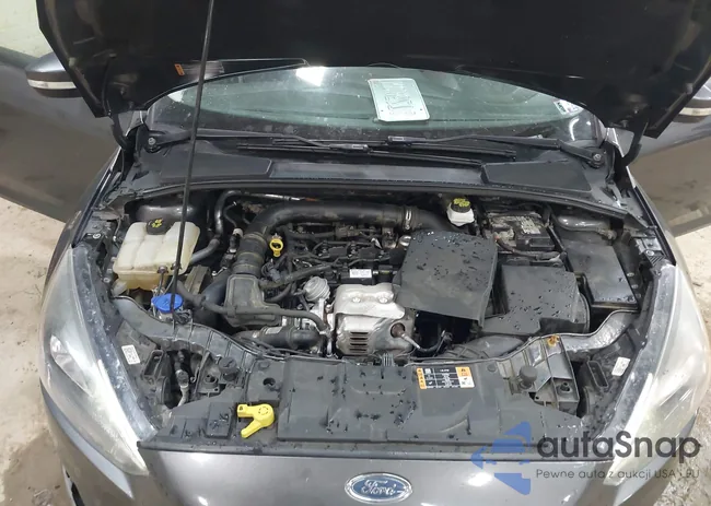 1FADP3FE2HL339859: 44494858