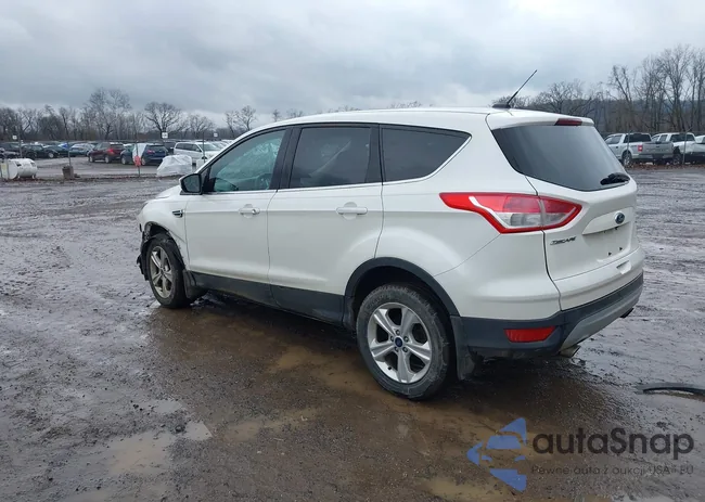 1FMCU9GX5FUB37893: 44494890