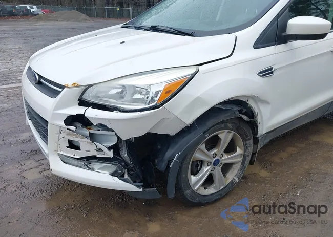 1FMCU9GX5FUB37893: 44494890