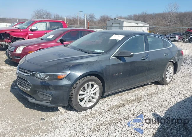 1G1ZD5ST8JF250769: 44494942