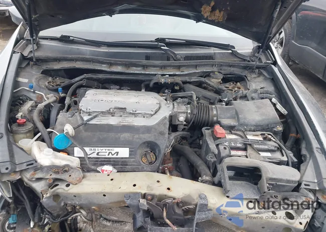 1HGCP3F82CA038398: 44495075