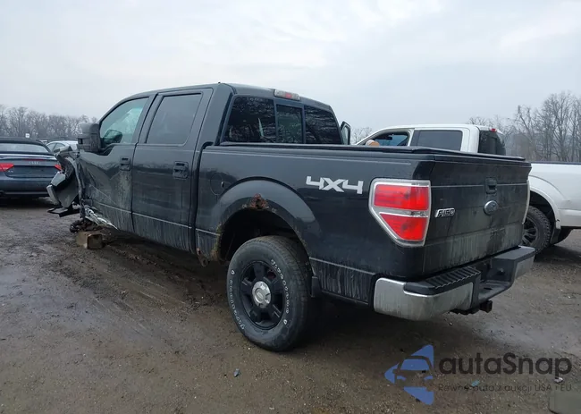 1FTEW1E86AFD52412: 44495955