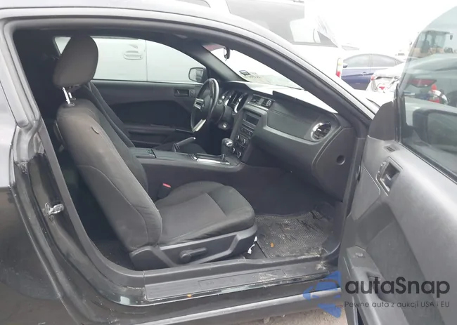 1ZVBP8AN9A5154589: 44496078