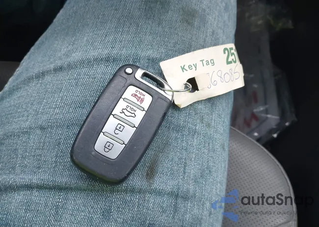 KMHEC4A47DA066384: 44496089