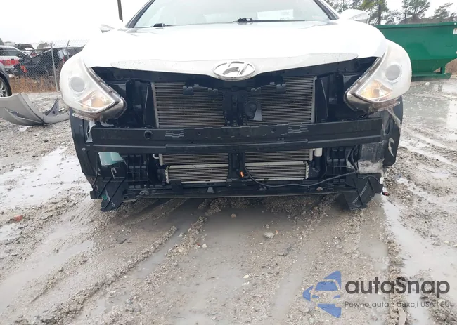 KMHEC4A47DA066384: 44496089